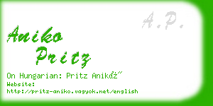 aniko pritz business card